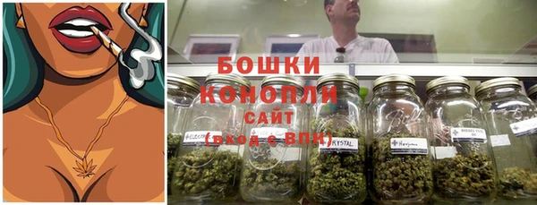 крисы Нягань