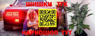 стафф Кандалакша