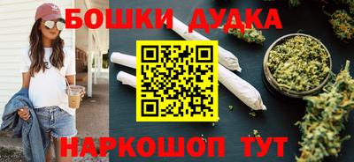 стафф Кандалакша