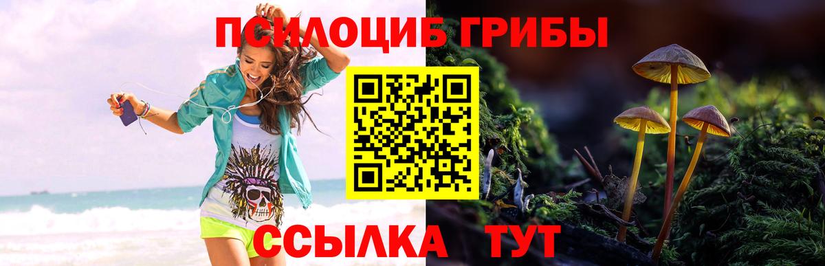 Псилоцибиновые грибы Magic Shrooms Кудрово